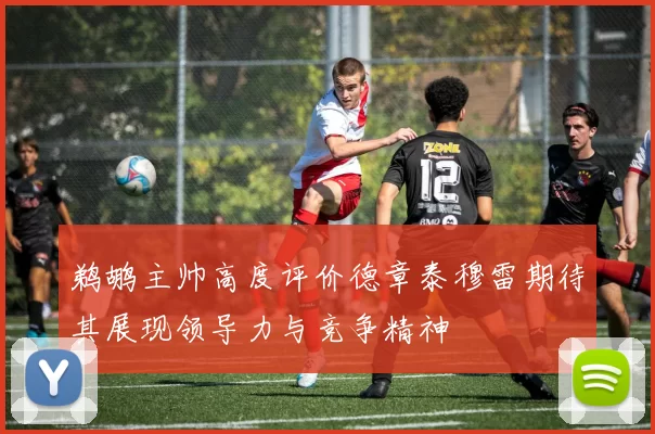 鹈鹕主帅高度评价德章泰穆雷期待其展现领导力与竞争精神