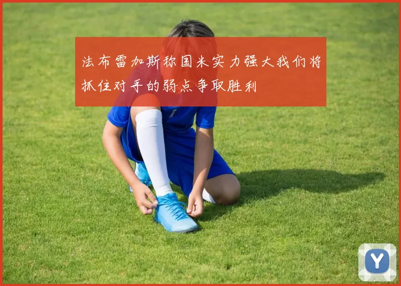 法布雷加斯称国米实力强大我们将抓住对手的弱点争取胜利